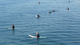 Surf