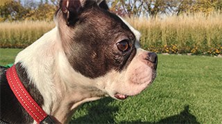  George's Day At The Park